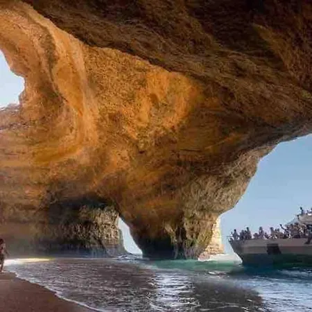 Spacious Two Bedroom Apt, 200m From The